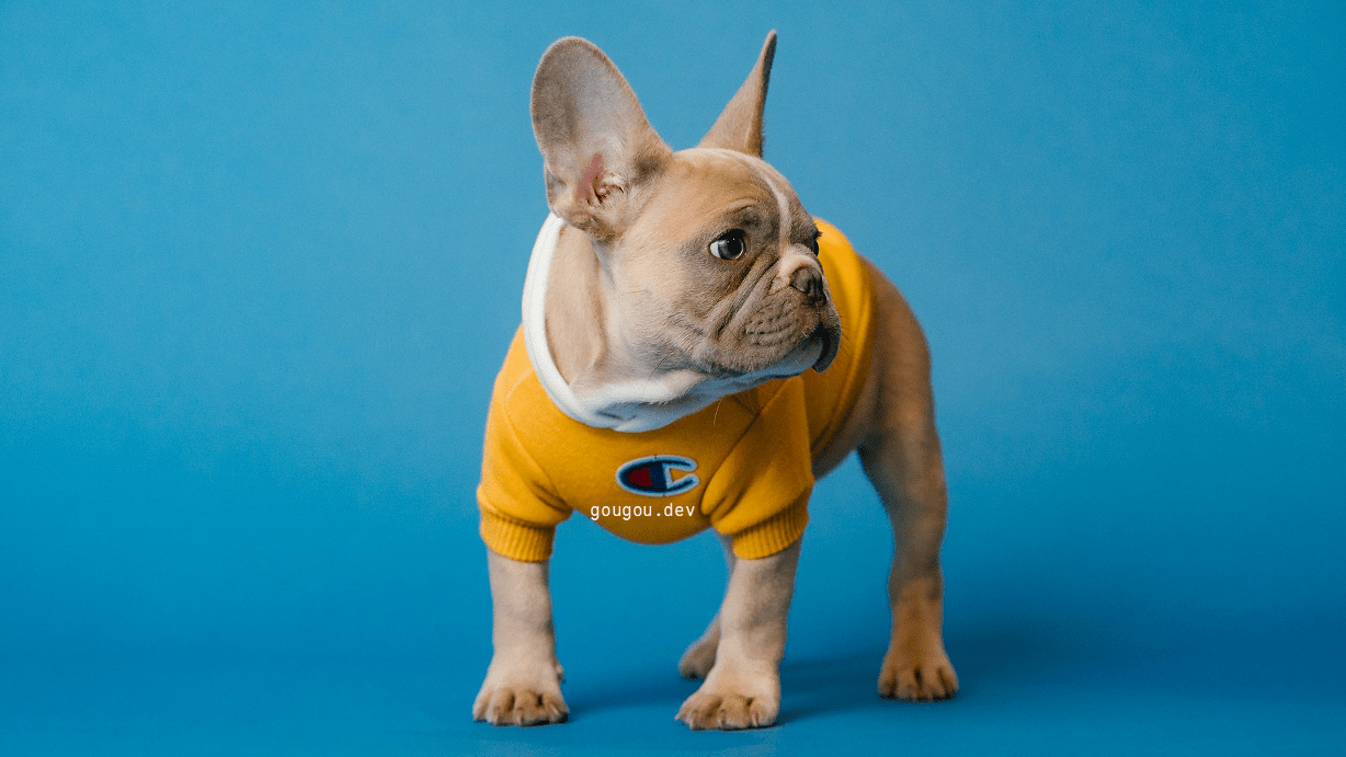 狗狗加速(gougou)官网地址、优惠码更新 - 第1张图片 | 狗狗加速(GouGou) 狗狗加速(gougou)官网地址、优惠码更新 - 第1张图片